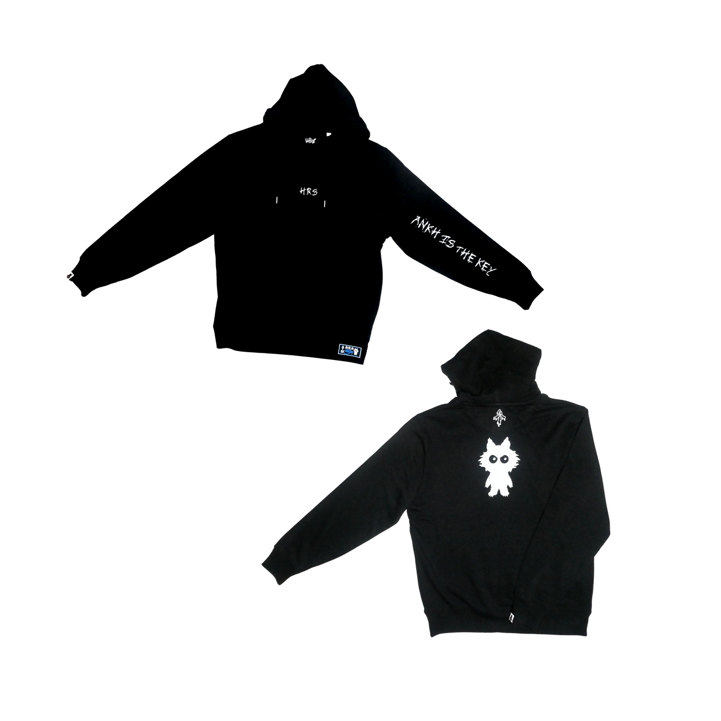 Premium Hoodie "Ankh is the key"